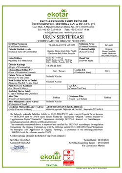 Organik Pervari Yayla Süzme Çiçek Balı (670 gr) Arıdağ