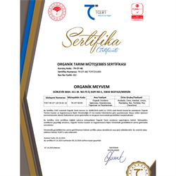 Organik Pikan Ceviz (150 gr) Talat Çelik Bahçesi-Mersin