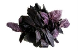 Organik Reyhan (demet) Ersöz Bahçesi - Afyon