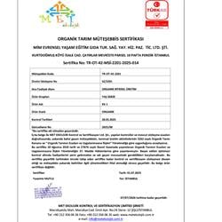 Organik Roka (demet) Kurtdoğmuş Çiftliği