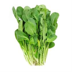 Organik Roka (demet) Kurtdoğmuş Çiftliği