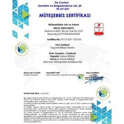 Organik Salatalık (500 gr) Ersöz Bahçesi - Afyon