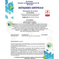 Organik Salatalık (500 gr) Ersöz Bahçesi - Afyon