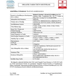 Organik Siyah Üzüm (500 gr) Tohum Tarımsal