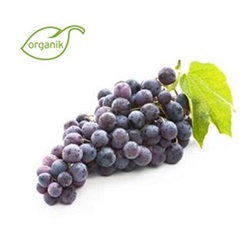 Organik Siyah Üzüm (500 gr) Tohum Tarımsal