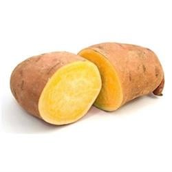 Organik Tatlı Patates (700 gr) Organicasa