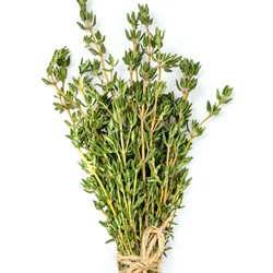 Organik Taze Kekik (demet) Ersöz Bahçesi - Afyon