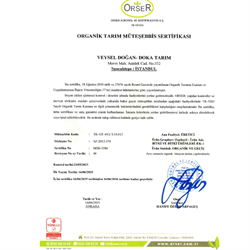 Organik Taze Sarımsak (demet) Doka