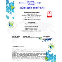 Organik Topan Patlıcan (kg) Ersöz Bahçesi - Afyon