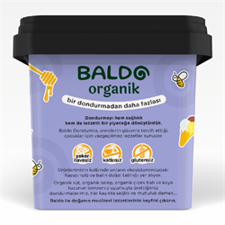 Organik Yaban Mersinli Dondurma (400 gr) Baldo