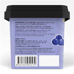 Organik Yaban Mersinli Dondurma (400 gr) Baldo