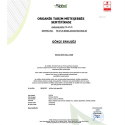 Organik Yapraklı Enginar (adet) Gökçe Erkuşöz