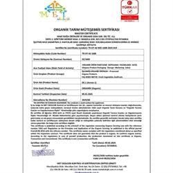 Organik Yassı Kuru Soğan (kg) Organicasa