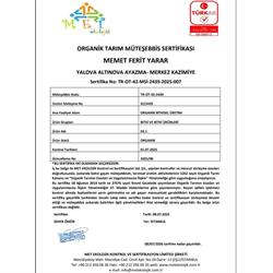 Organik Yeşil Capia Biber (500 gr) Salih Özkan Çiftliği-Bursa