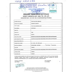 Organik Yumurta (10 lu) Organik Life