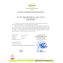 Organik Zencefil,Badem ve Tarçınlı Bisküvi (60 gr) Monn Bio