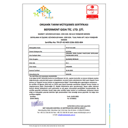 Organik Zerdeçallı Zencefil Özlü Elma Sirkesi (500 ml) Beferment