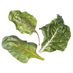 Renkli Pazı (100 gr) Plant Factory