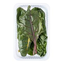 Renkli Pazı (100 gr) Plant Factory