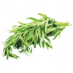 Tarhun (25 gr) Greenada görseli.