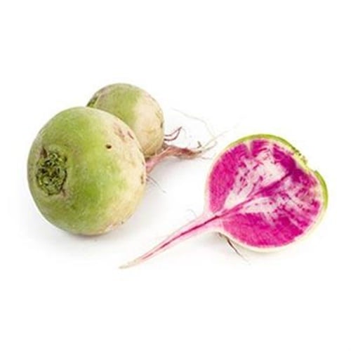 Arjantin Turp, Göçbeyli (kg)