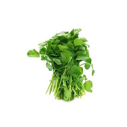 Tere, Yalova (demet)