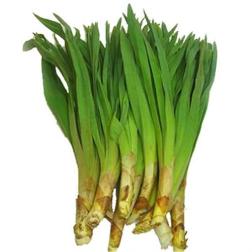 Çiriş Otu  - Yabani Pırasa, Yalova (500 gr)