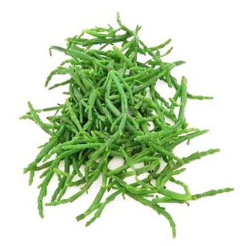 Deniz Börülcesi, Gökova (demet)