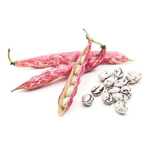 Barbunya - Taze, Tokat (kg)