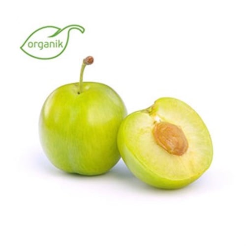 Organik Can Erik (500) **