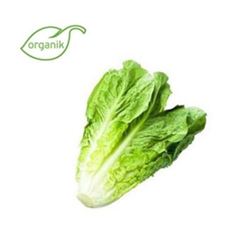 Organik Marul , adet   **