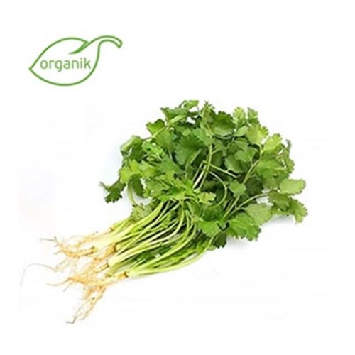 Organik Kişniş , demet **