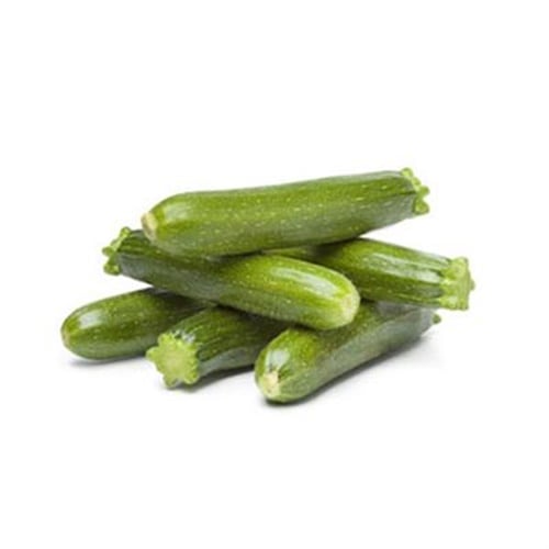 Mini Kabak, Antalya (250 gr), Erüst 