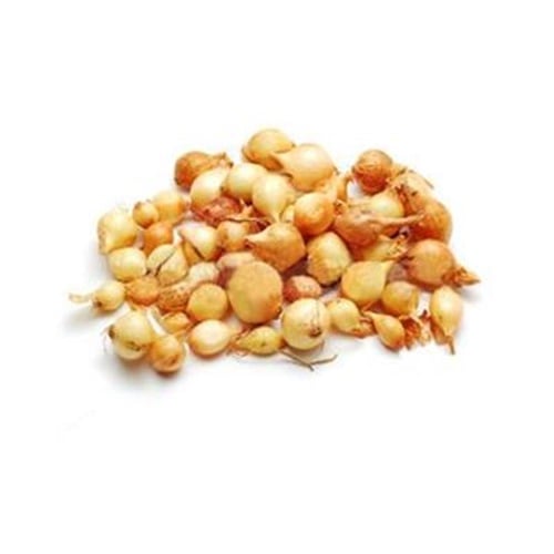 Soğan Arpacık, Niğde (500 gr, File)