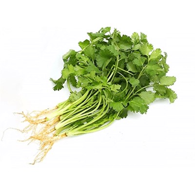 Çatalca Kişniş (50 gr)