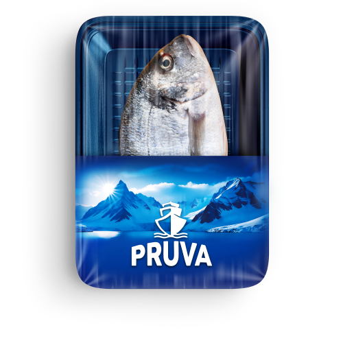 Çipura (400-600 gr) Pruva