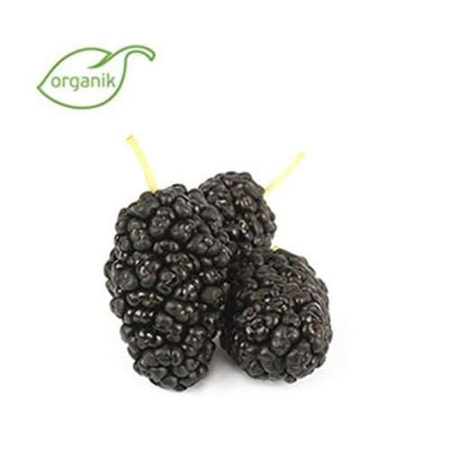 Organik Kara Dut (500 gr) **