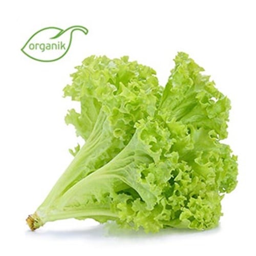 Organik Kıvırcık , adet **