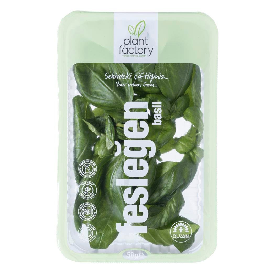 Fesleğen (50 gr) Plant Factory