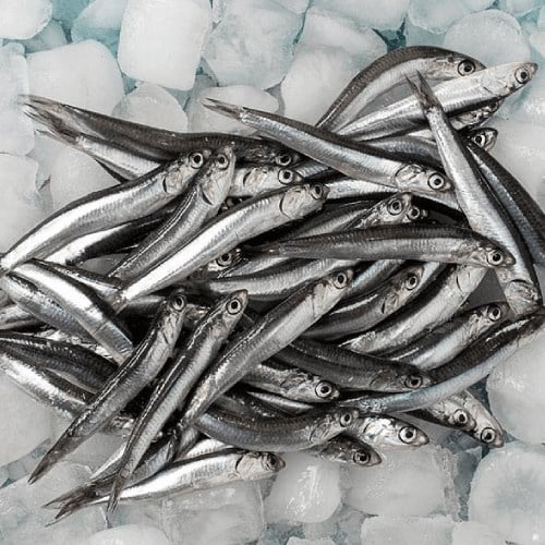 Hamsi (500 gr) Balık Ye