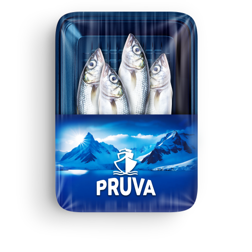 İstavrit (500 gr) Pruva