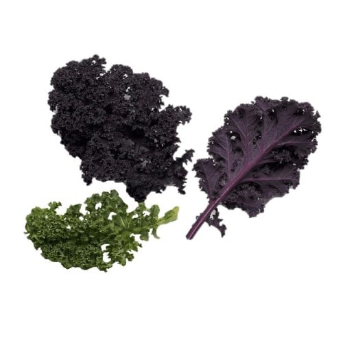 Kale Yaprağı, Antalya (250 gr) Erüst