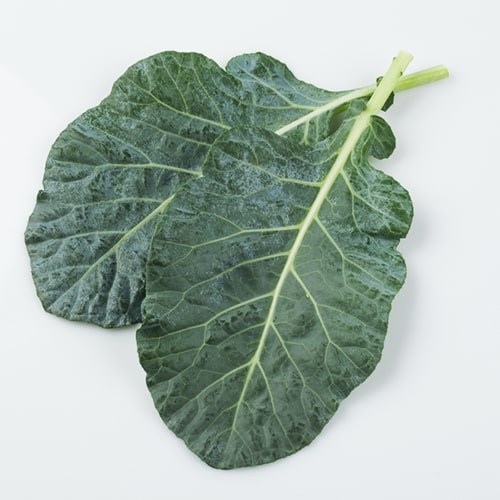 Kale Yaprağı, Çatalca (150 gr)