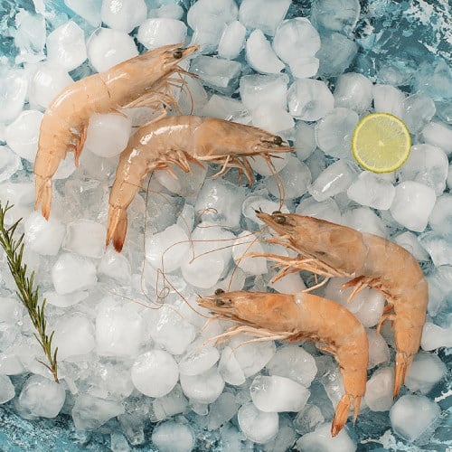 Karides Jumbo (250 gr) Balık Ye