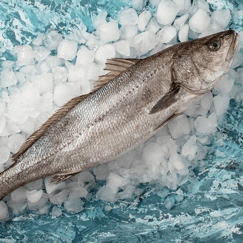 Kaya Levreği (Gronyoz), Dilim (kg) Balık Ye