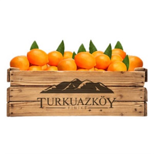 Kırmızı Limon (500 gr) Finike
