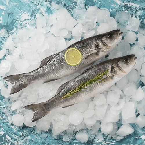 Levrek, Orta Boy (350 gr) Balık Ye