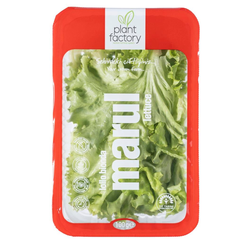 Lolobionda Marul (100 gr) Plant Factory
