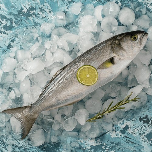 Lüfer (250 gr) Balık Ye