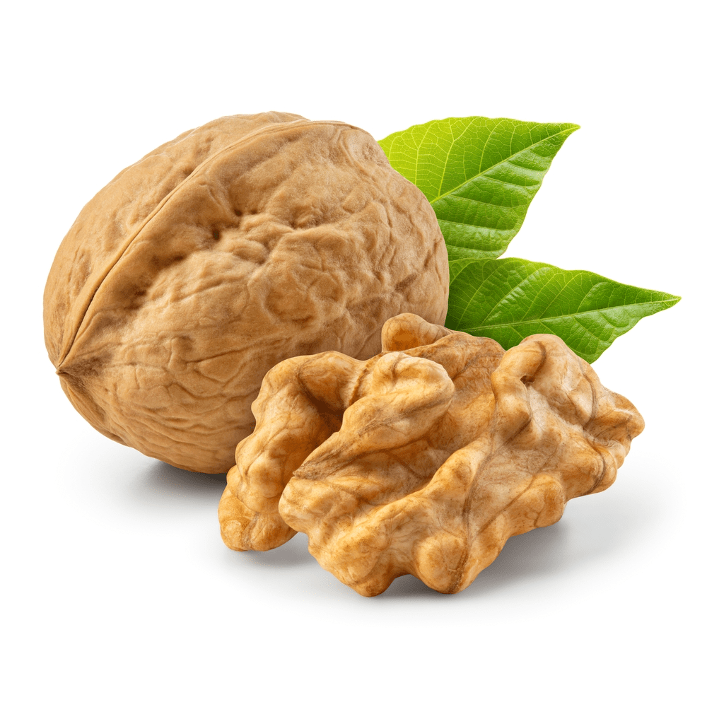 Organik Ceviz (250 gr) Sadık Comba